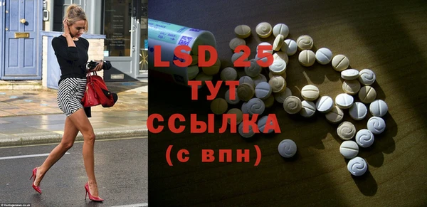 бошки Вязьма