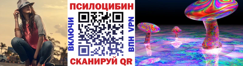 Псилоцибиновые грибы Cubensis где купить Игарка
